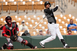 Reds White Sox Spring Baseball