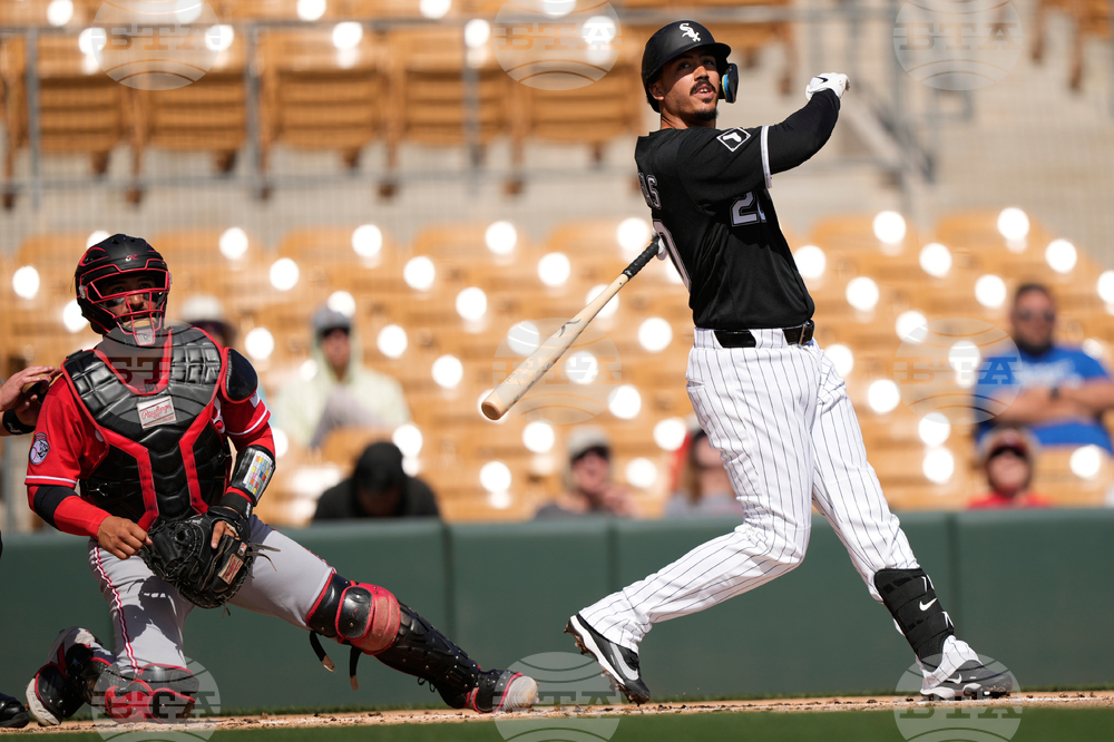 Reds White Sox Spring Baseball