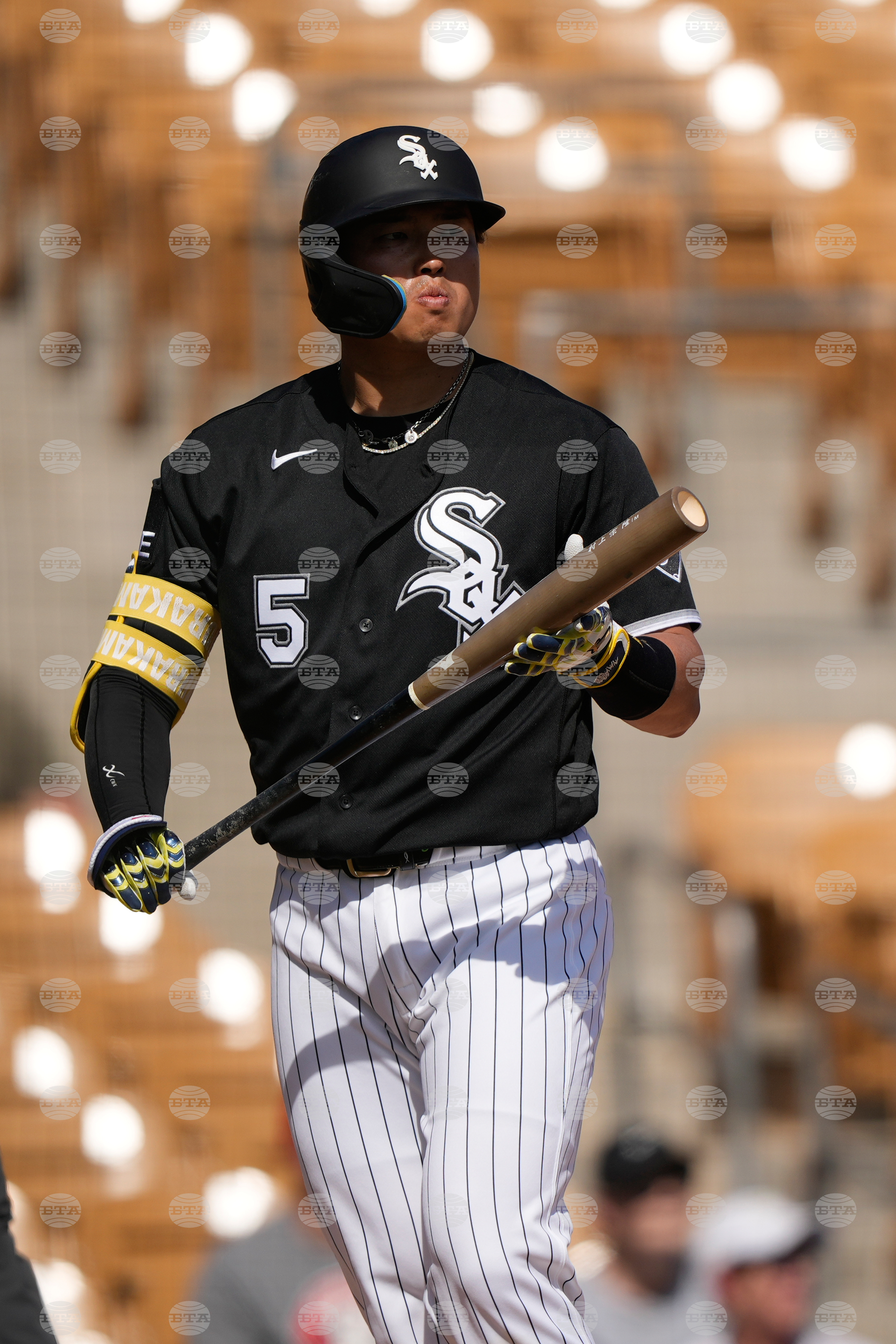 Reds White Sox Spring Baseball