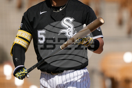 Reds White Sox Spring Baseball