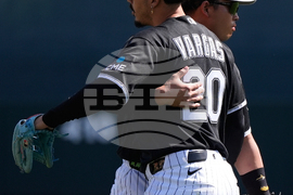 Reds White Sox Spring Baseball