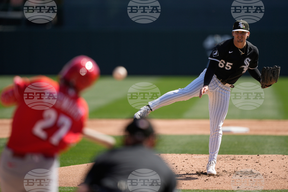 Reds White Sox Spring Baseball