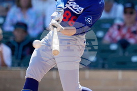 Dodgers Diamondbacks Spring Baseball