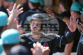 Dodgers Diamondbacks Spring Baseball