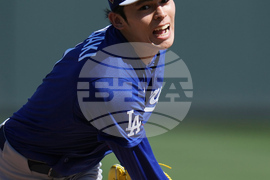 Dodgers Diamondbacks Spring Baseball
