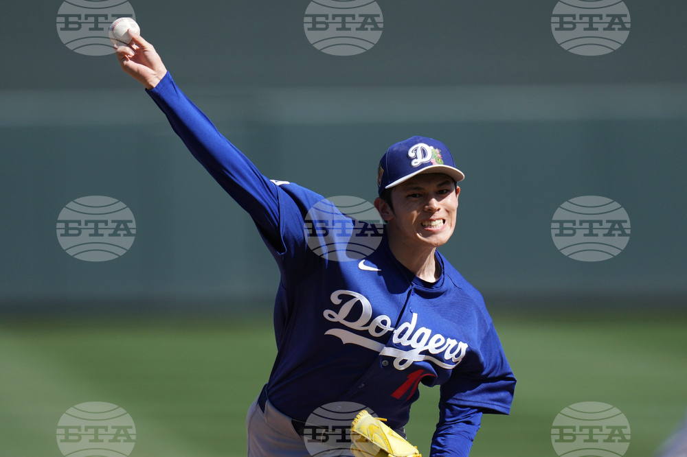 Dodgers Diamondbacks Spring Baseball