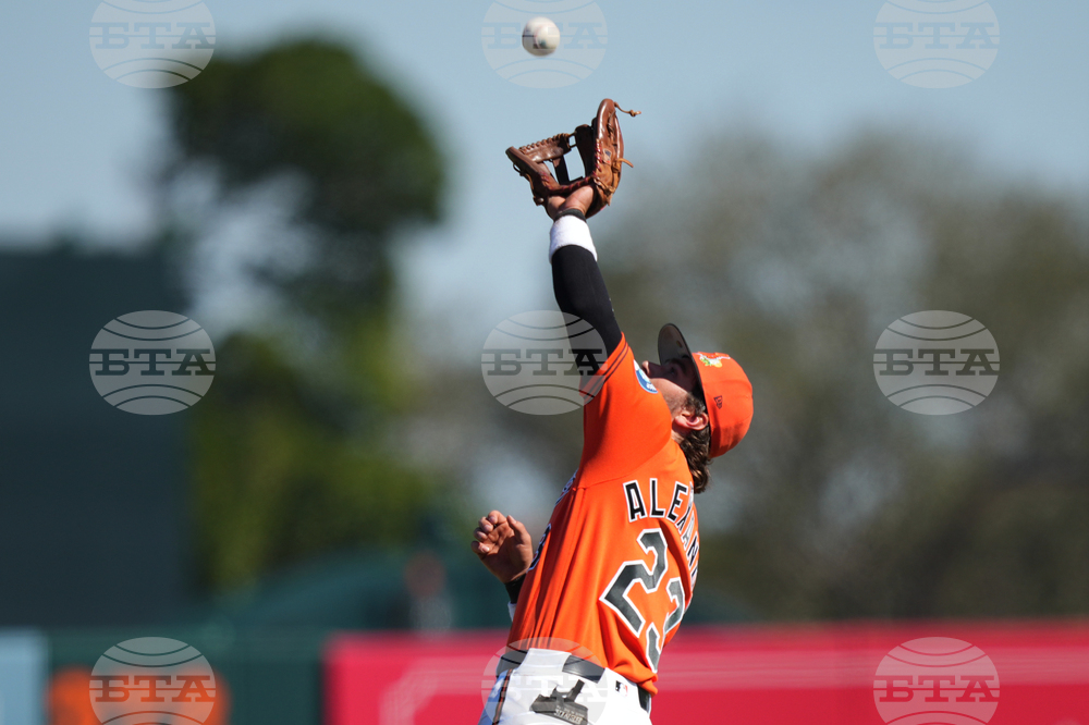 Rays Orioles Spring Baseball