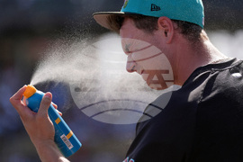 Dodgers Diamondbacks Spring Baseball