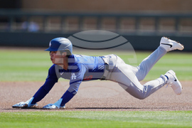 Dodgers Diamondbacks Spring Baseball
