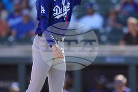 Dodgers Diamondbacks Spring Baseball