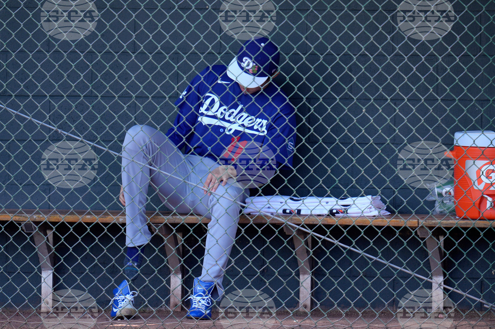 Dodgers Diamondbacks Spring Baseball
