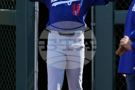 Dodgers Diamondbacks Spring Baseball