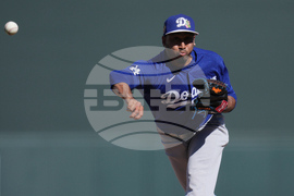 Dodgers Diamondbacks Spring Baseball
