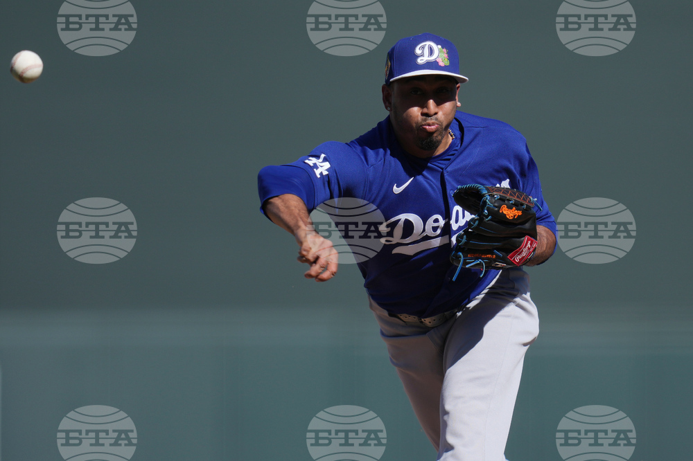 Dodgers Diamondbacks Spring Baseball