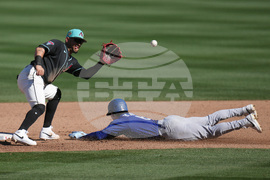 Dodgers Diamondbacks Spring Baseball