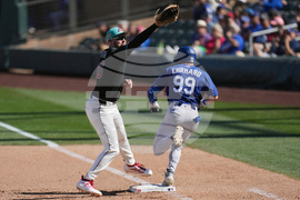 Dodgers Diamondbacks Spring Baseball
