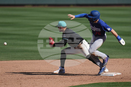 Dodgers Diamondbacks Spring Baseball