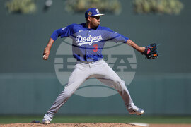 Dodgers Diamondbacks Spring Baseball