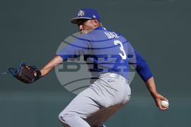 Dodgers Diamondbacks Spring Baseball