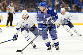 Maple Leafs Lightning Hockey