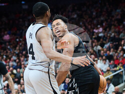 Spur Raptor Basketball