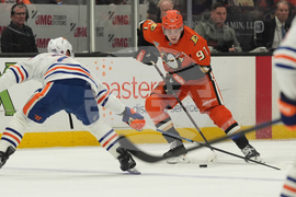 Oilers Ducks Hockey
