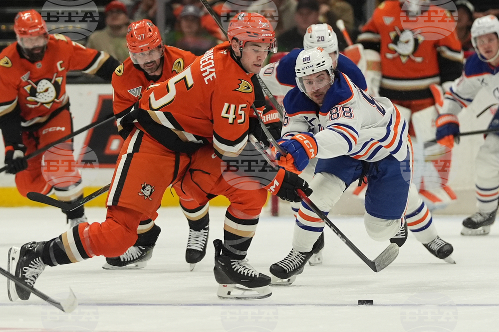 Oilers Ducks Hockey