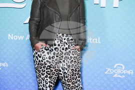 "Zootopia 2" Photo Call