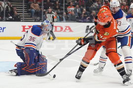 Oilers Ducks Hockey