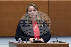 Народно събрание - заседание