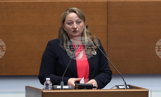 Парламентът отложи гласуването на второ четене на законовите промени, с които се въвеждат мултифондове в допълнителното пенсионно осигуряване