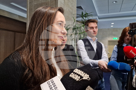 Народно събрание - Светла Несторова - брифинг