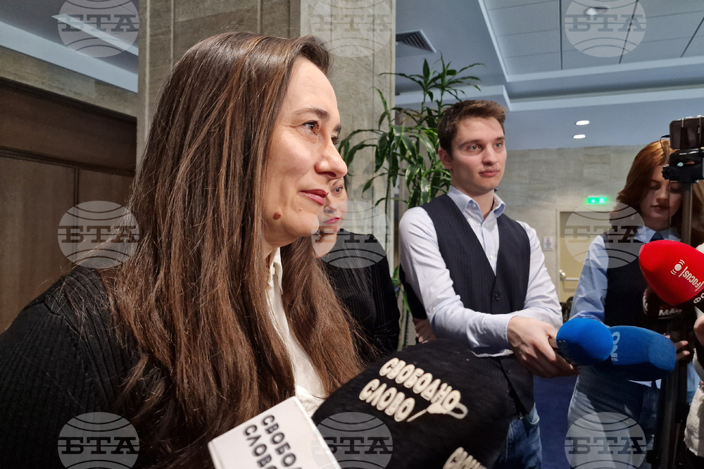 Народно събрание - Светла Несторова - брифинг