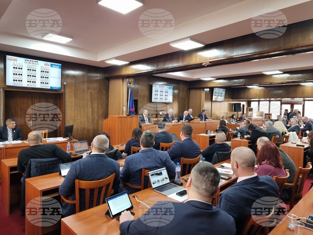 Миналата година беше добра за развитието на туризма в Русе, каза заместник-кметът Златомира Стефанова