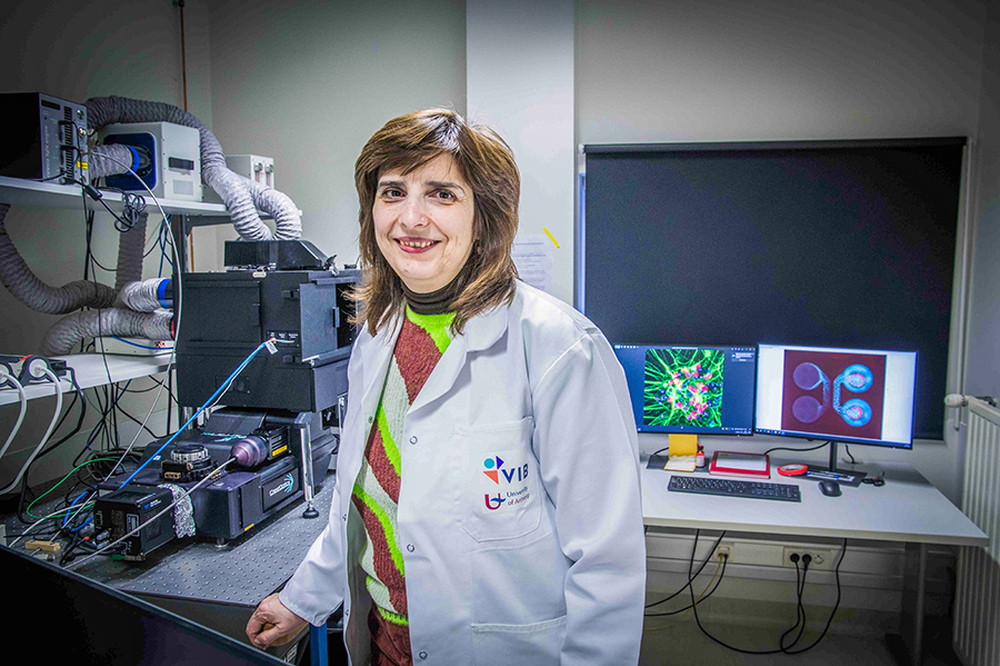 Учен от МУ-София получи авторитетна международна награда от 1 млн. евро за изследване на СМТ