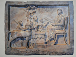 Вършец - Исторически музей - обновяване