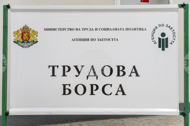 През първото шестмесечие в Бюрото по труда в Луковит са заявени 36 работни места за специалисти
