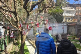 Петрич - къща-музей "Ванга"