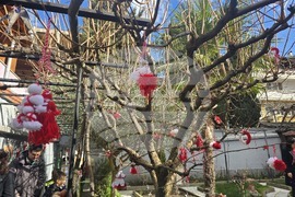 Петрич - къща-музей "Ванга"