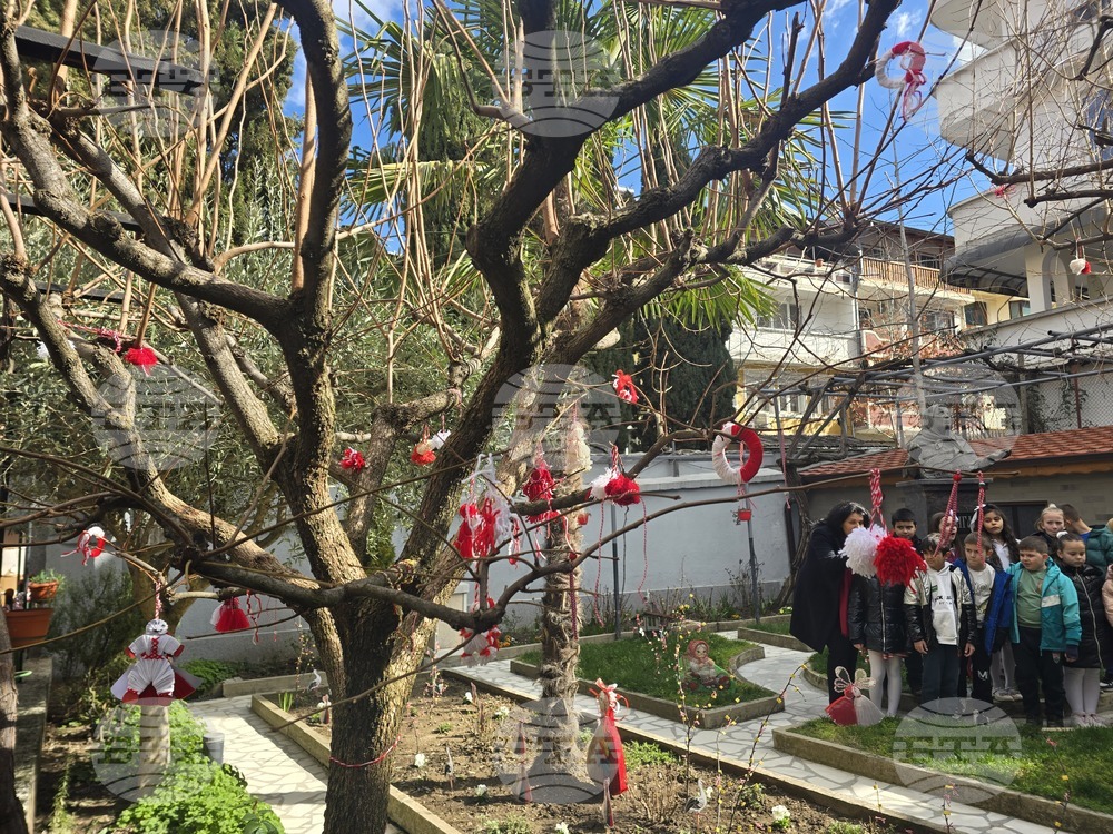 Петрич - къща-музей "Ванга"