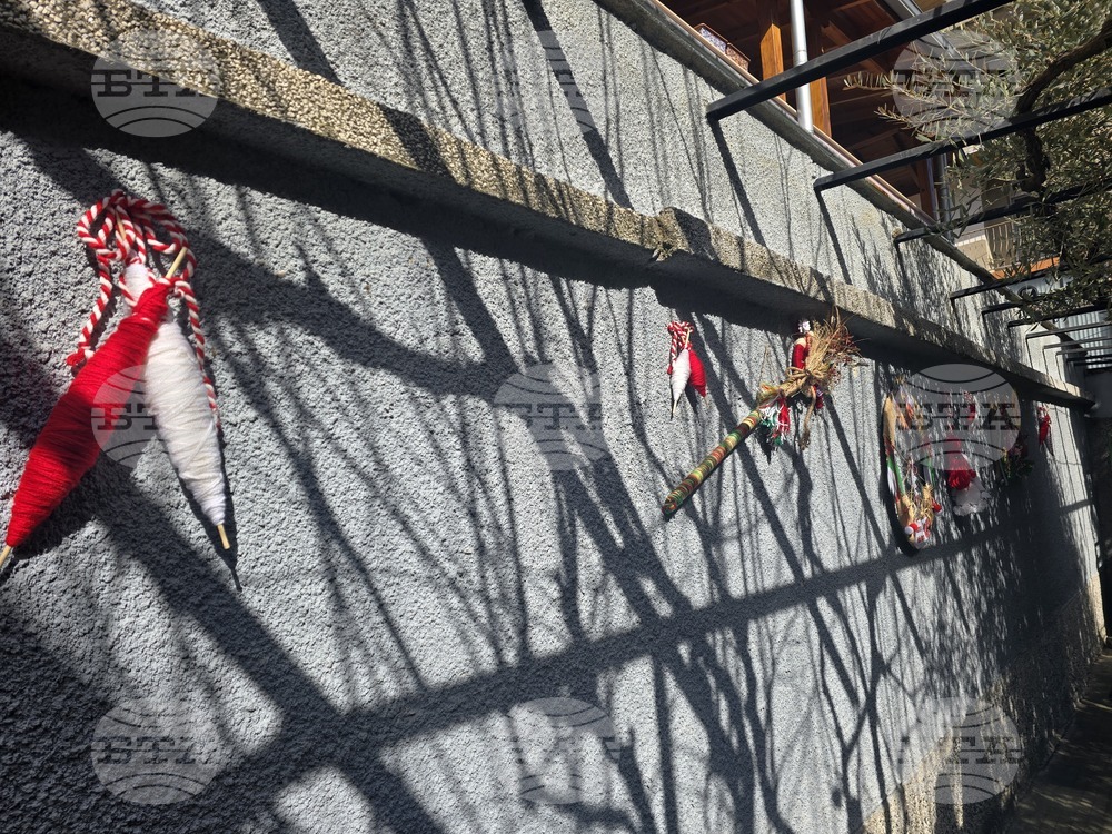 Петрич - къща-музей "Ванга"