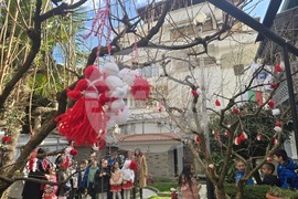 Петрич - къща-музей "Ванга"