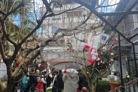 Петрич - къща-музей "Ванга"