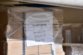 Пловдив - бюлетини - избори