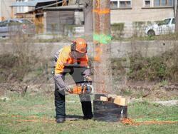 Снимка: Община Тетевен