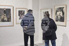 Добрич - графици - изложба