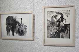 Добрич - графици - изложба