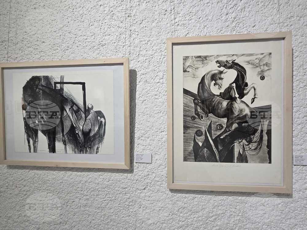 Добрич - графици - изложба