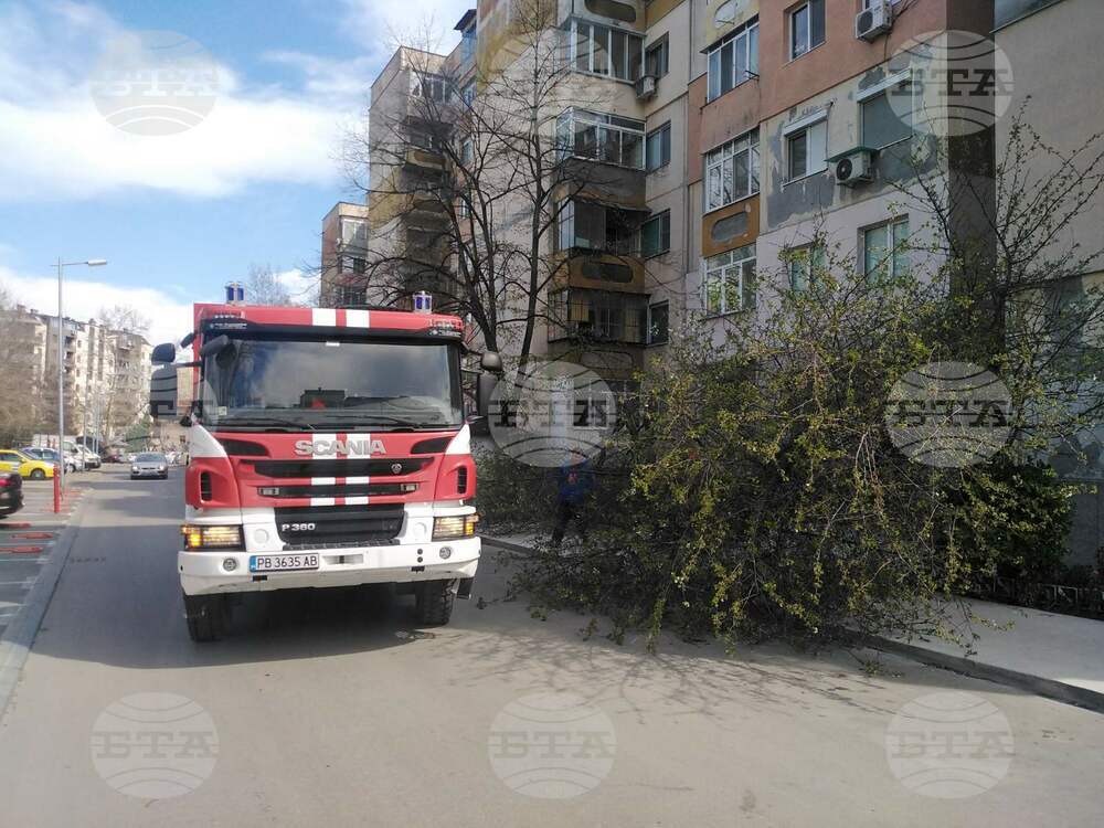 Силен вятър причини щети в страната