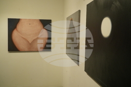 Институт за съвременно изкуство - Недко Солаков - “Дребните” - изложба